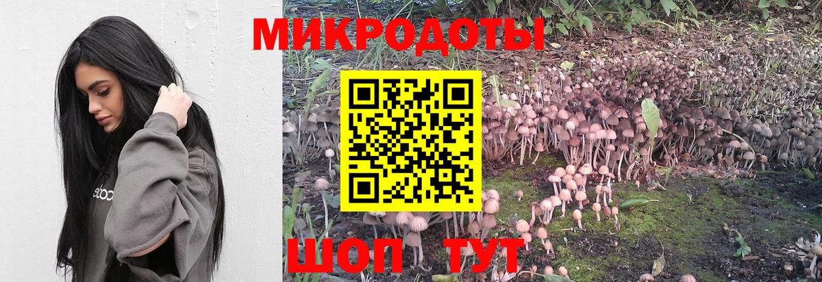 A PVP Кудымкар